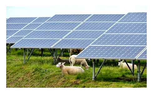 manufacture, enough, solar, panels