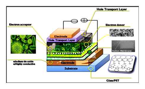 solar, cells