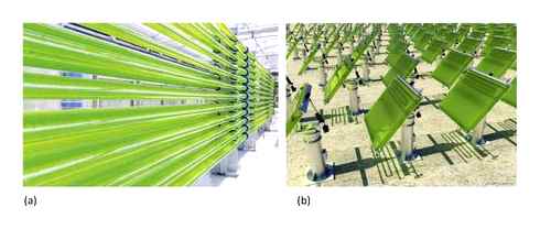algae, powered, solar, panels, spectral, bioreactor